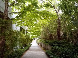 芝公園緑の歩道